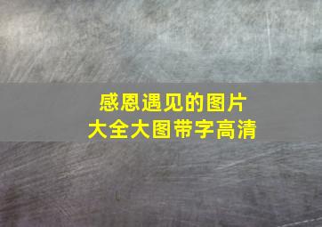 感恩遇见的图片大全大图带字高清