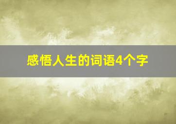 感悟人生的词语4个字