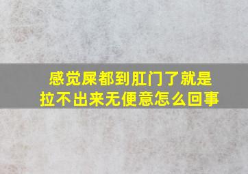 感觉屎都到肛门了就是拉不出来无便意怎么回事