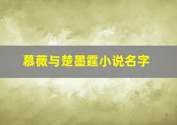 慕薇与楚墨霆小说名字