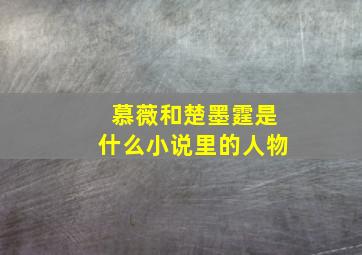 慕薇和楚墨霆是什么小说里的人物