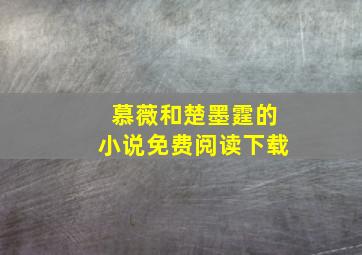 慕薇和楚墨霆的小说免费阅读下载