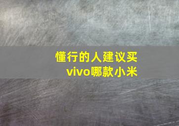 懂行的人建议买vivo哪款小米