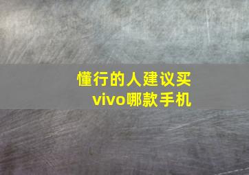 懂行的人建议买vivo哪款手机