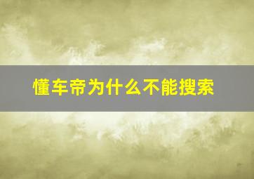 懂车帝为什么不能搜索