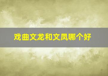 戏曲文龙和文凤哪个好