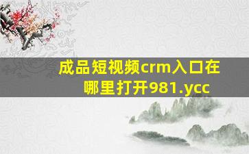 成品短视频crm入口在哪里打开981.ycc