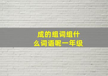 成的组词组什么词语呢一年级