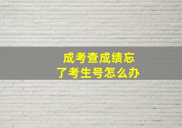 成考查成绩忘了考生号怎么办