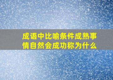 成语中比喻条件成熟事情自然会成功称为什么