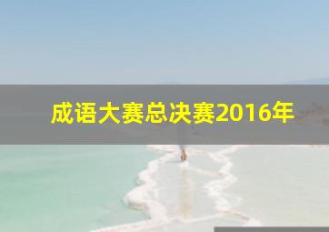 成语大赛总决赛2016年