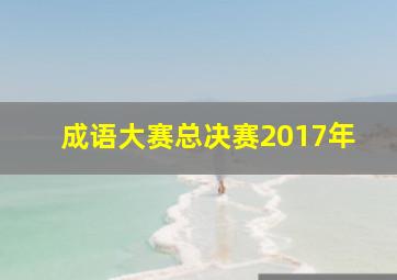 成语大赛总决赛2017年