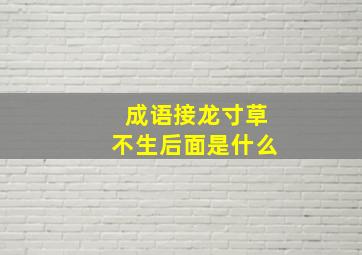 成语接龙寸草不生后面是什么