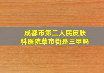 成都市第二人民皮肤科医院草市街是三甲吗