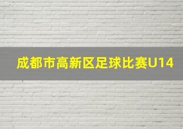 成都市高新区足球比赛U14