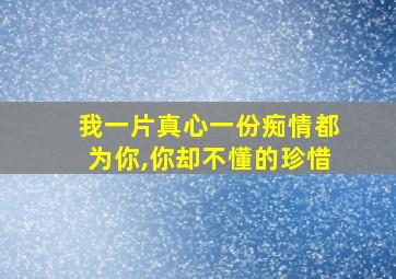 我一片真心一份痴情都为你,你却不懂的珍惜