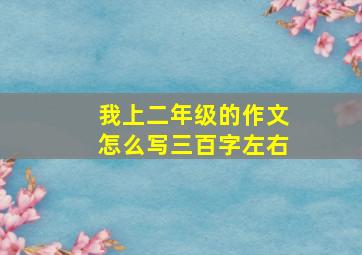 我上二年级的作文怎么写三百字左右