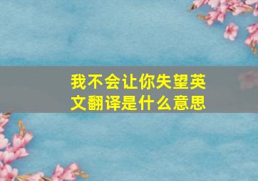 我不会让你失望英文翻译是什么意思