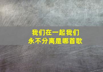 我们在一起我们永不分离是哪首歌