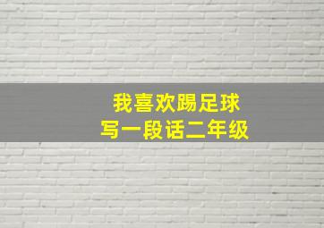 我喜欢踢足球写一段话二年级