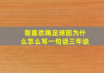 我喜欢踢足球因为什么怎么写一句话三年级