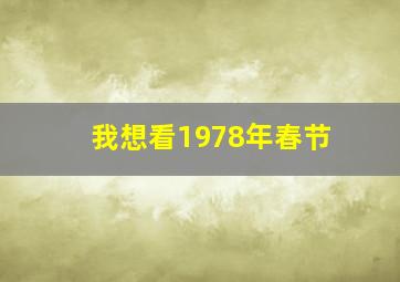 我想看1978年春节