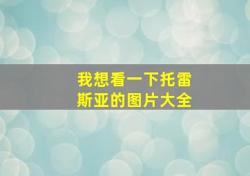 我想看一下托雷斯亚的图片大全