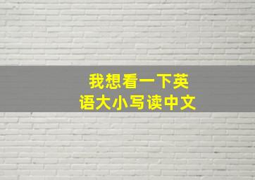 我想看一下英语大小写读中文