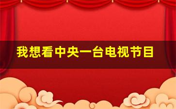 我想看中央一台电视节目