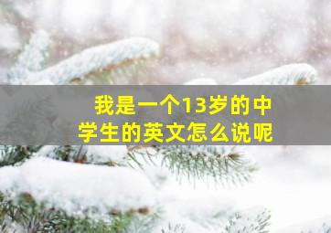 我是一个13岁的中学生的英文怎么说呢