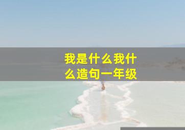 我是什么我什么造句一年级