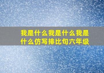 我是什么我是什么我是什么仿写排比句六年级