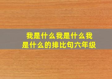 我是什么我是什么我是什么的排比句六年级