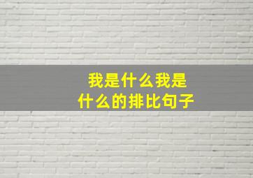 我是什么我是什么的排比句子