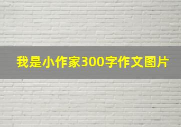 我是小作家300字作文图片