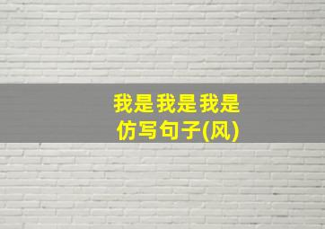 我是我是我是仿写句子(风)