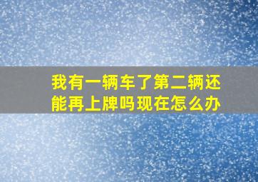 我有一辆车了第二辆还能再上牌吗现在怎么办