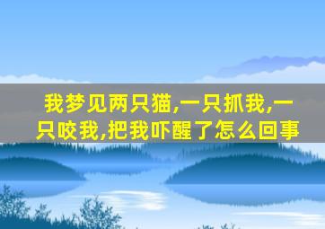 我梦见两只猫,一只抓我,一只咬我,把我吓醒了怎么回事