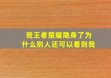 我王者荣耀隐身了为什么别人还可以看到我