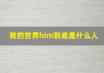 我的世界him到底是什么人