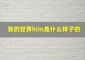 我的世界him是什么样子的