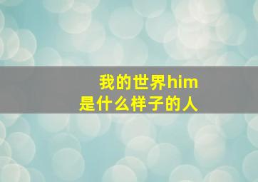 我的世界him是什么样子的人