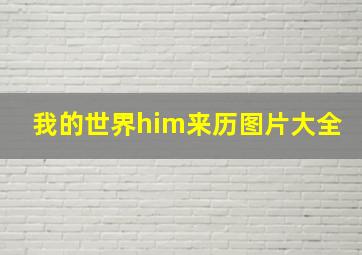 我的世界him来历图片大全