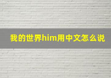 我的世界him用中文怎么说