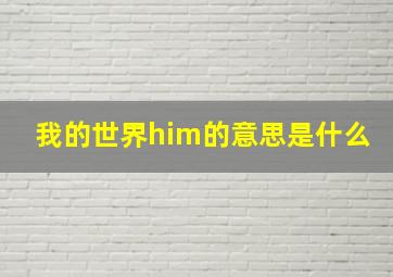 我的世界him的意思是什么