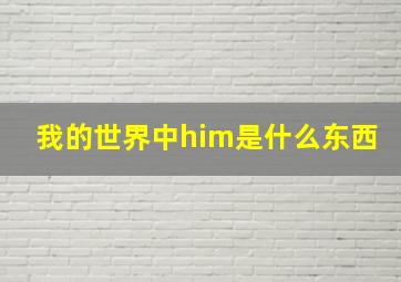 我的世界中him是什么东西