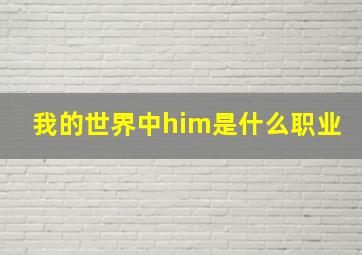 我的世界中him是什么职业