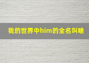 我的世界中him的全名叫啥