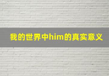 我的世界中him的真实意义