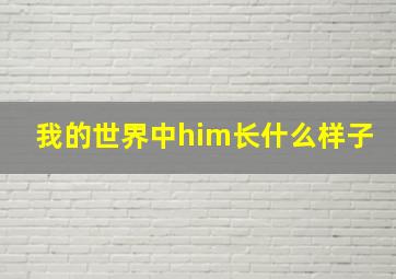 我的世界中him长什么样子